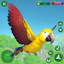Parrot Life Simulator Game 1.12