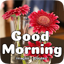 Good Morning Images 2025 5.1