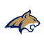 Akron Bobcats 6.9.4