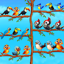 Bird Sort Puzzle Fun Game 2.1