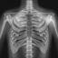 XRay - Sublux Anatomy Learning 1.1.4