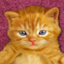 Kitten Calculator 3.5