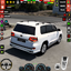 Car Game Car Driving School 0.8