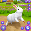Cute Bunny Life Simulator 3D 2.0