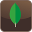 MongoDB 2008R2Plus SSL bit) 5.0.6