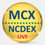 MCX NCDEX Live Rates Chart 6.7