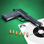 Pistol Shooting. Free 8.1