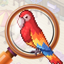 Hidden Objects Island 1.0