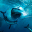 Megalodon Dino Survival Sim 1.1.8