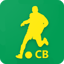 Copa do Brasil 2025 1.3.2503.0