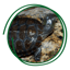 Galapago 51.34.0.0