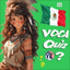 Mexican Spanish Flashcards
