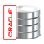 Oracle Database 10g Express Edition 11.2