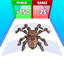 Spider Evolution
