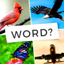 Guess 4 Pictures 4 Pics 1 Word 1.0
