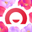 Home.kz от Home Credit Bank 1.4.0