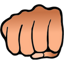 Fight Fury fight-31.0