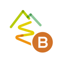 BAFANG GO+ 3.1.1