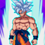 DBZ : Super Goku Sparking 1.3