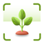 Plant Identifier: Reminder
