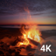 Cozy Fire: Bonfire Wallpapers 3.3