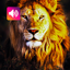 Lion: Sounds & Ringtones 3.2.0