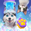 Pets & Puzzles