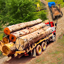 Real Truck Pulling Simulator 1.5