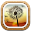 clear.fi Media 2.1.3108
