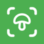 Mushroom Identifier - Mushby 3.0.0