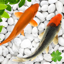 Koi Pond Fish - Live Aquarium 1.0