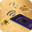 Metal Detector & Gold Hunt