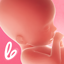 Pregnancy Tracker - Lifeing 1.12.3