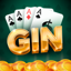 Rummy Money Gin Win Real Cash 1.01