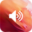 Ringtone for S21 to S25 2.03