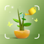 LeafCare - Plant Health Care