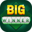 Big Winner: endless play game 9.8.6
