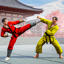 Kung Fu Gym Fighting 2.1