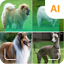 Dog id - dog scanner 5.9.400