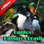 Cantos Pássaros Brasil 6.5