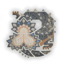Monster Hunter Wilds 1.0.4