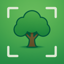 Tree Identifier゜ 1.0.4