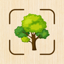 Wood Identifier: Tree & Plant 1.0.10