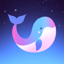 Flor - Discover, Chat & Find