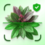 Plant Identifier - PlantEcho 2.0