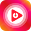 4K Video Downloader - Player
