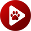 Bear Player 2.20.7