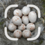 Egg Identifier 1.0.2