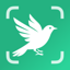 BirdScope: Bird Identifier 1.1.1