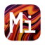 Mini V
